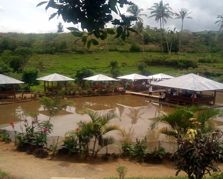 Taman Putri Tunggal Taman Putri Tunggal